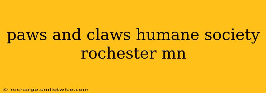 paws and claws humane society rochester mn