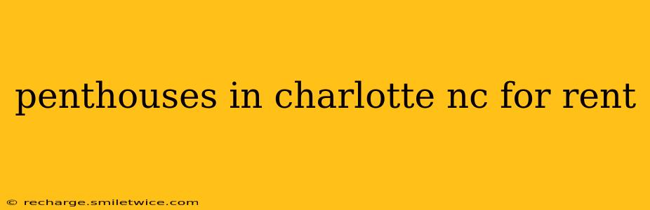 penthouses in charlotte nc for rent