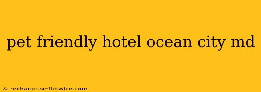 pet friendly hotel ocean city md