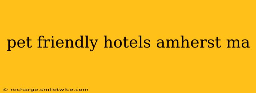 pet friendly hotels amherst ma