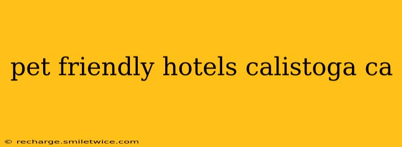 pet friendly hotels calistoga ca