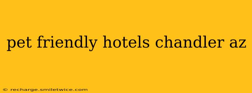 pet friendly hotels chandler az