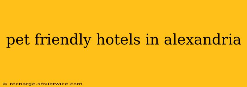 pet friendly hotels in alexandria