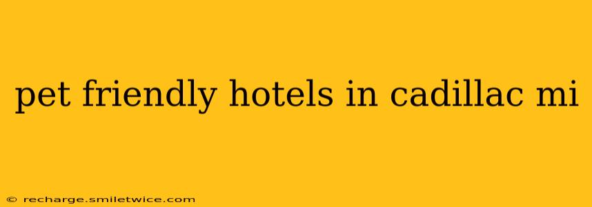 pet friendly hotels in cadillac mi