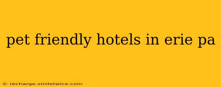 pet friendly hotels in erie pa