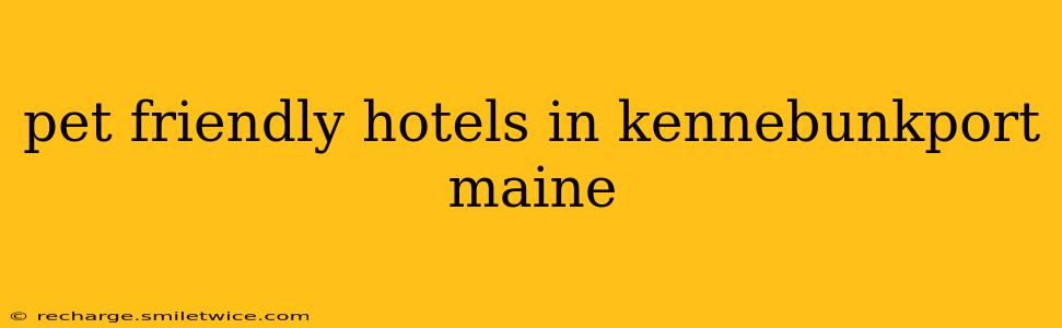 pet friendly hotels in kennebunkport maine