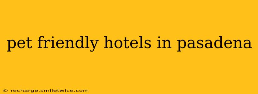 pet friendly hotels in pasadena