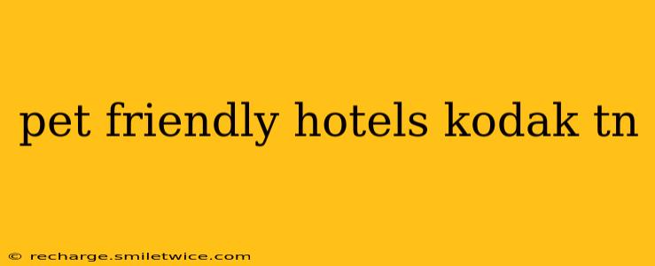 pet friendly hotels kodak tn