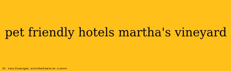 pet friendly hotels martha's vineyard