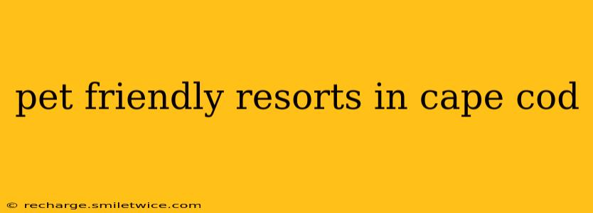 pet friendly resorts in cape cod