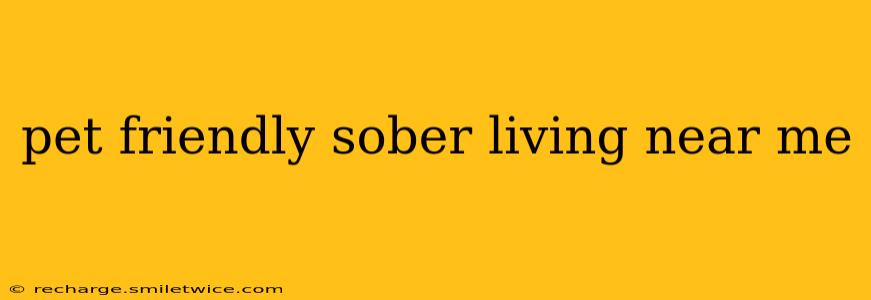 pet friendly sober living near me