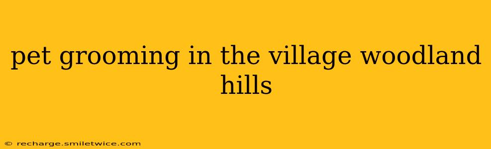 pet grooming in the village woodland hills