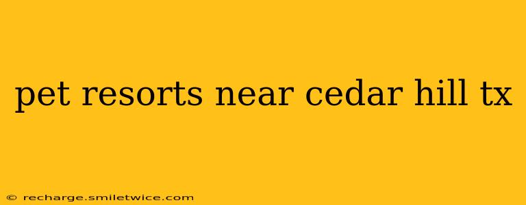pet resorts near cedar hill tx