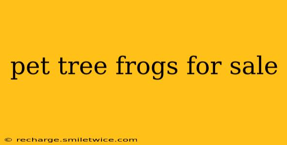 pet tree frogs for sale
