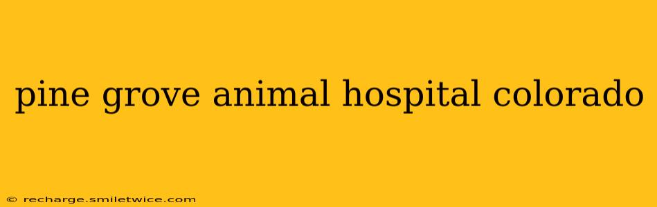 pine grove animal hospital colorado