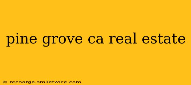 pine grove ca real estate
