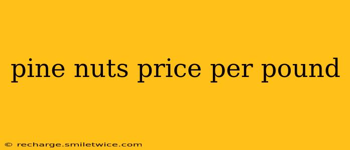 pine nuts price per pound