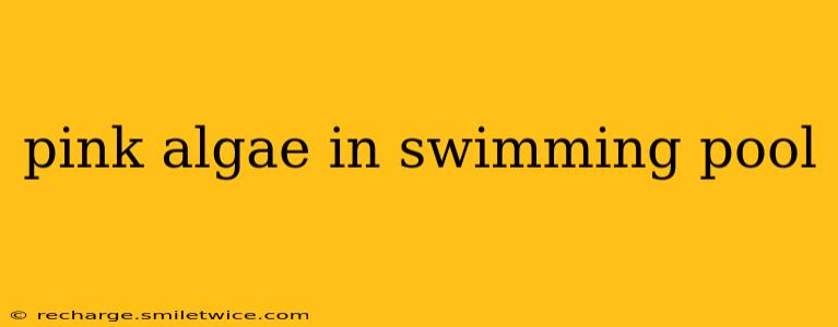 pink algae in swimming pool