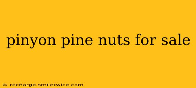 pinyon pine nuts for sale