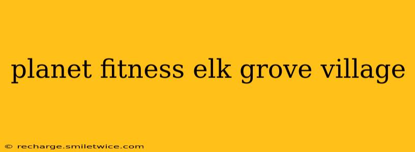 planet fitness elk grove village