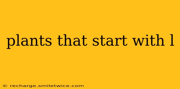 plants that start with l