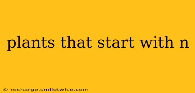 plants that start with n