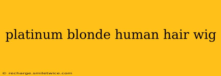 platinum blonde human hair wig