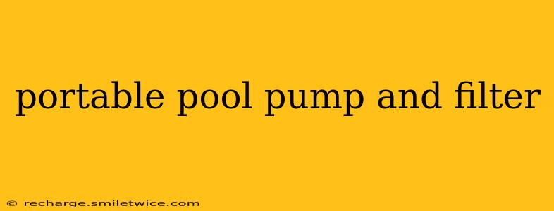 portable pool pump and filter
