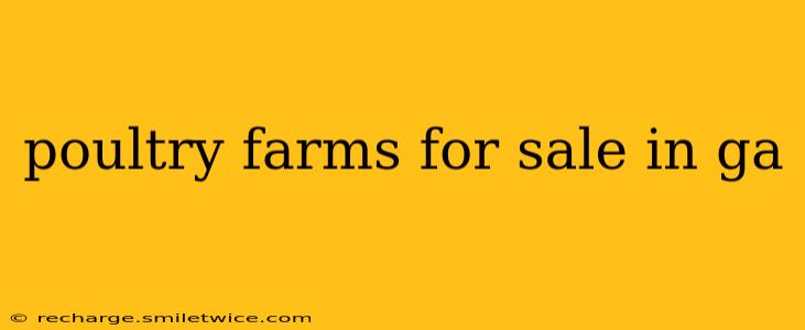 poultry farms for sale in ga