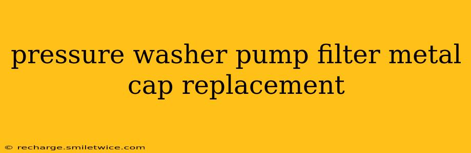 pressure washer pump filter metal cap replacement
