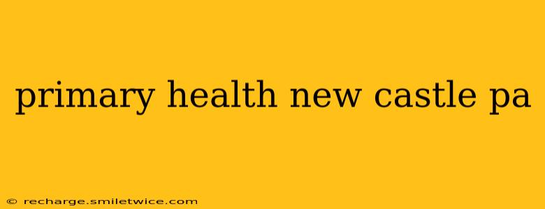 primary health new castle pa