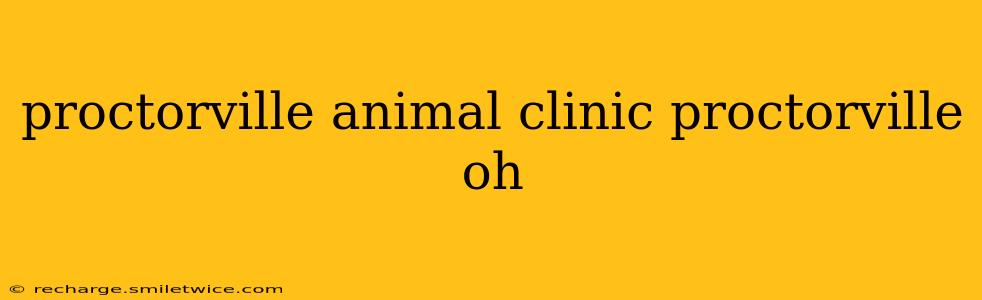proctorville animal clinic proctorville oh
