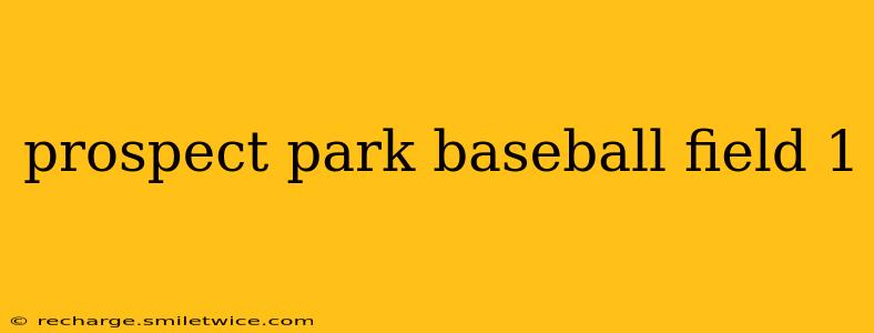 prospect park baseball field 1