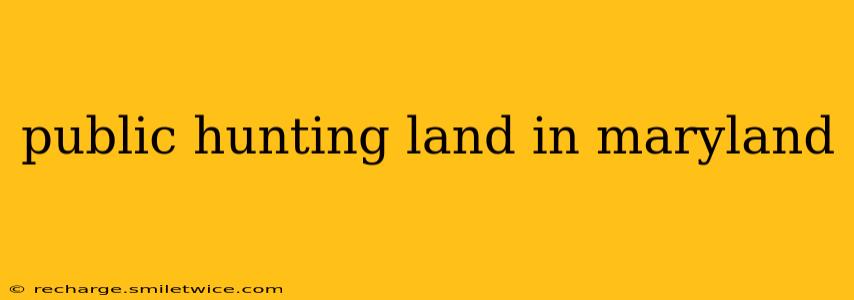 public hunting land in maryland