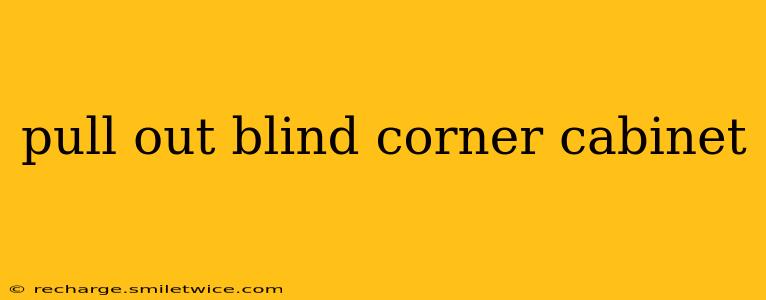 pull out blind corner cabinet