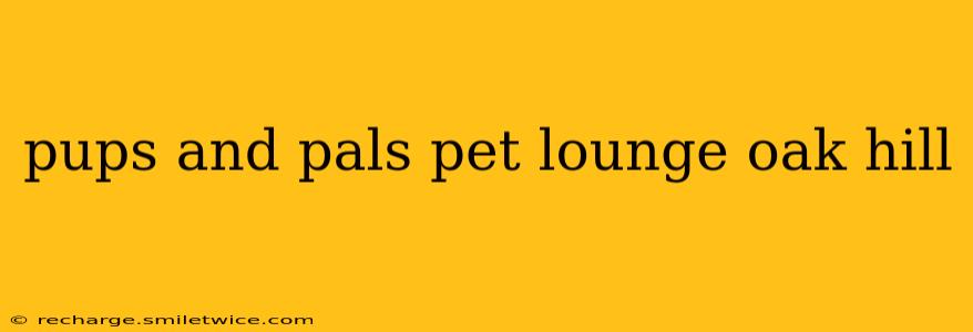 pups and pals pet lounge oak hill