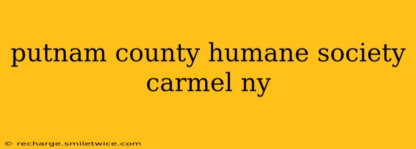 putnam county humane society carmel ny