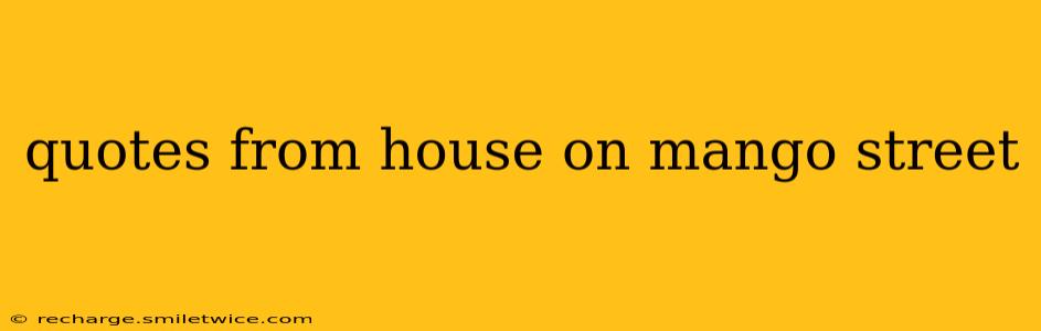 quotes from house on mango street