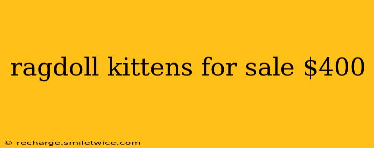 ragdoll kittens for sale $400