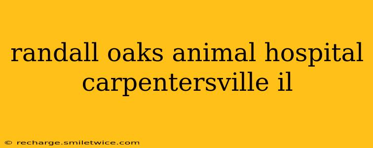 randall oaks animal hospital carpentersville il