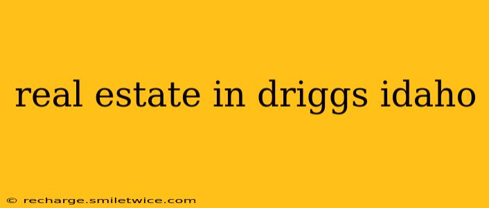 real estate in driggs idaho