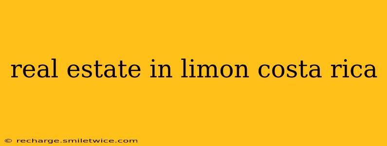 real estate in limon costa rica
