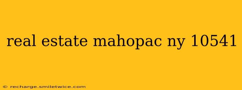real estate mahopac ny 10541