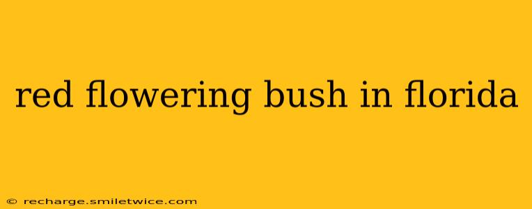 red flowering bush in florida
