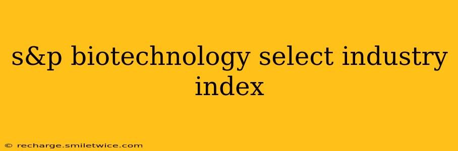 s&p biotechnology select industry index