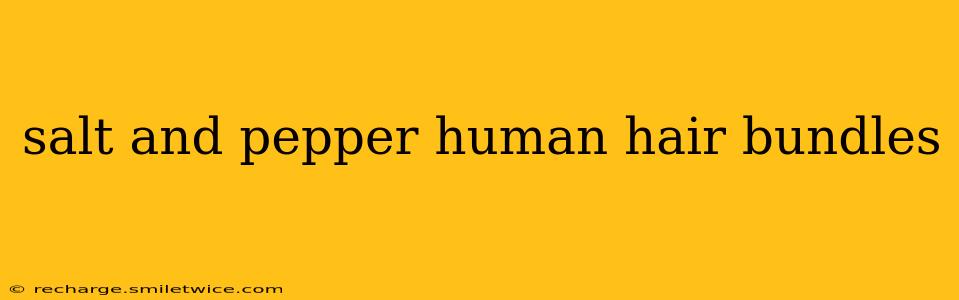 salt and pepper human hair bundles