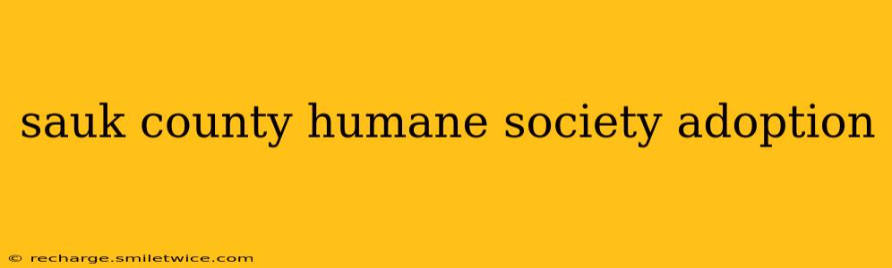 sauk county humane society adoption