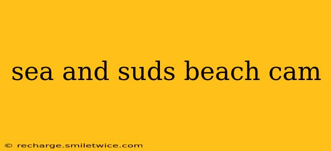 sea and suds beach cam