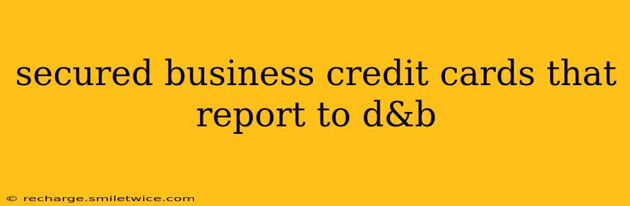 secured business credit cards that report to d&b