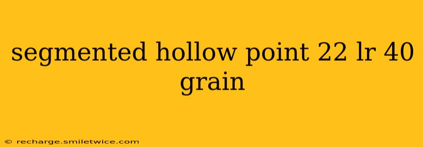segmented hollow point 22 lr 40 grain